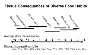 Food Balance HUFA